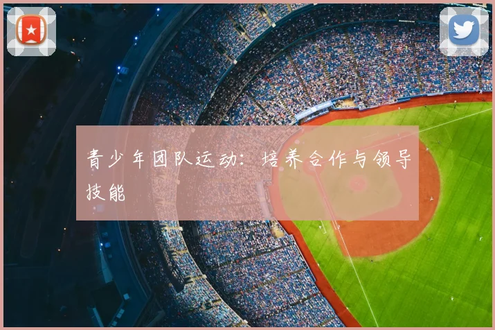 青少年团队运动:培养合作与领导技能